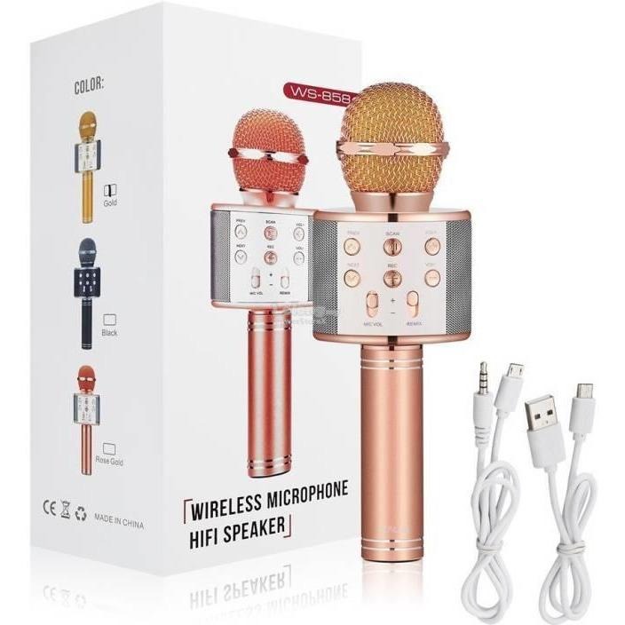 Wireless Mic
